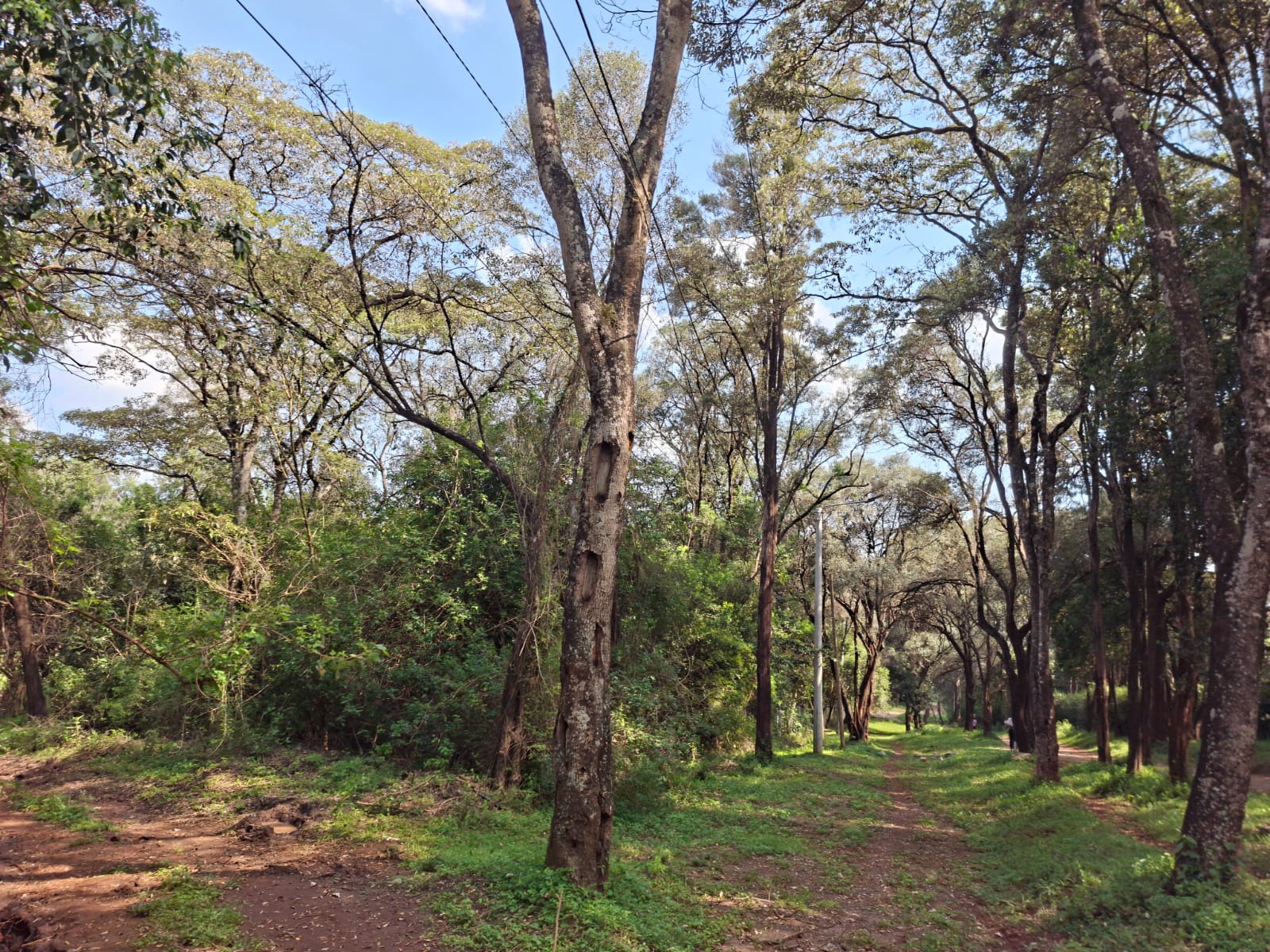 1 Acre Land for Sale in Karen vgcc - Land in Karen photo